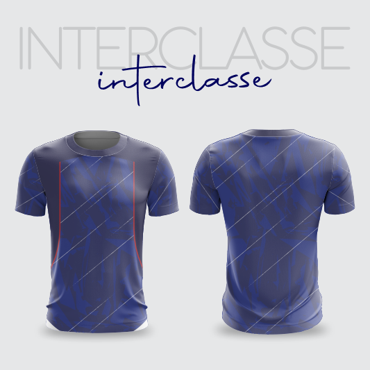 INTERCLASSE 355 INTERCLASSE 355