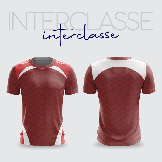 INTERCLASSE 381 INTERCLASSE 381