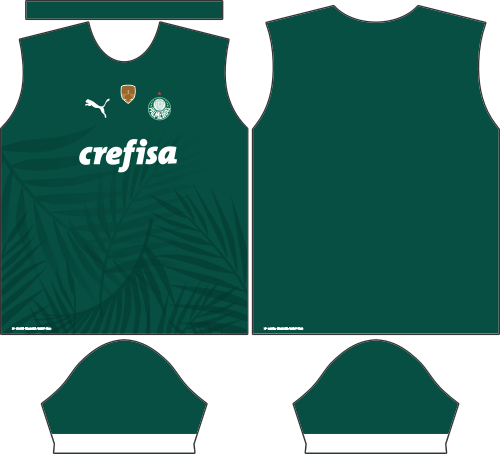 CAMISA PALMEIRAS I 2022