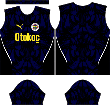 Fenerbahçe Concept 2024
