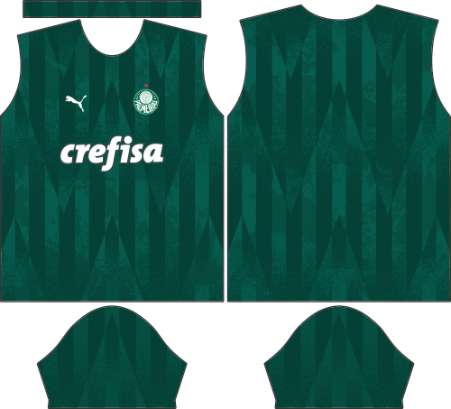 Palmeiras 2023 Conceito