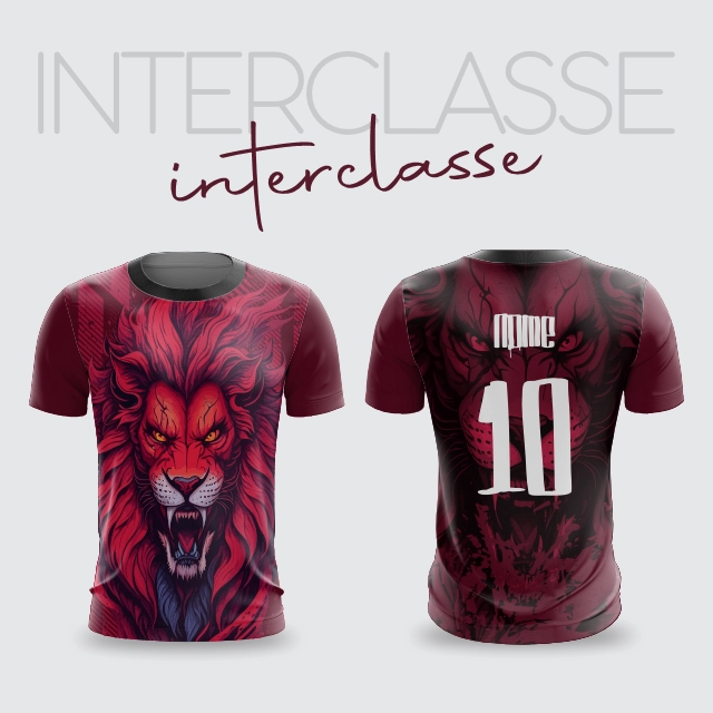 Inerclasse 285