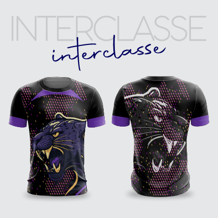 Inerclasse 288