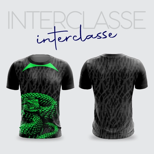 Inerclasse 289
