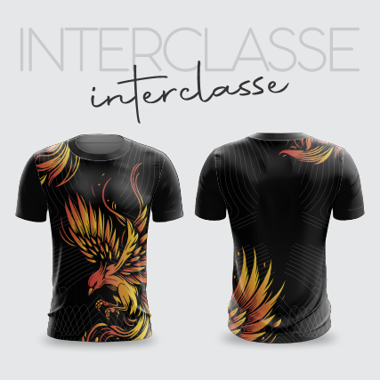 Inerclasse 291