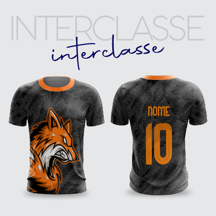 Inerclasse 292