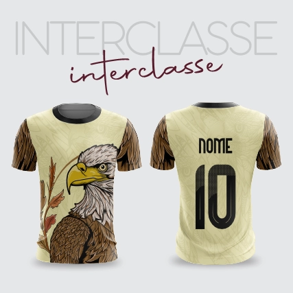 Inerclasse 293