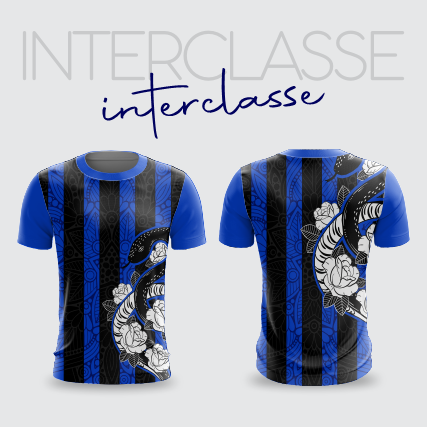 Inerclasse 295
