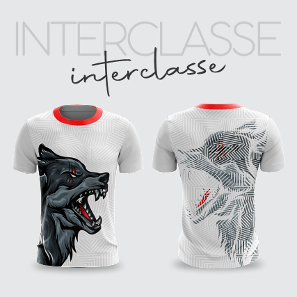 Inerclasse 296