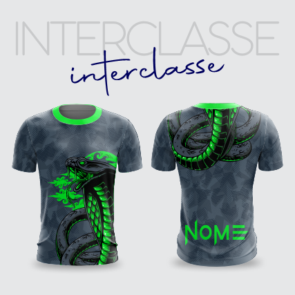 Interclasse 297