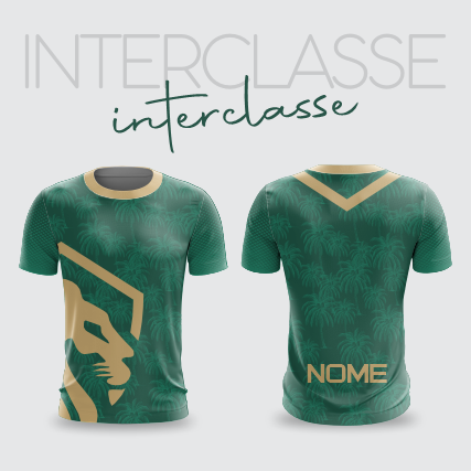 Interclasse 298