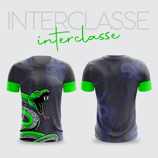 Interclasse 300