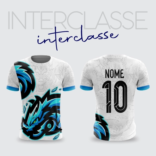 Interclasse 310