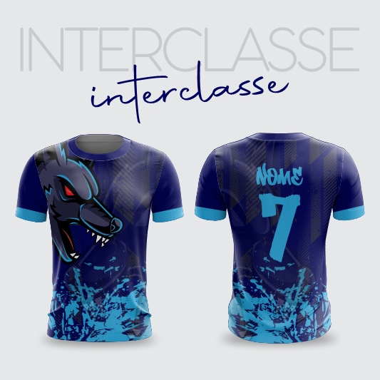 Interclasse 311