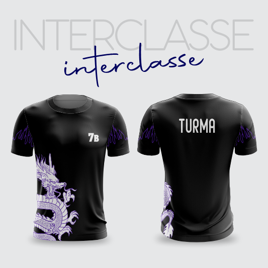 Interclasse 313