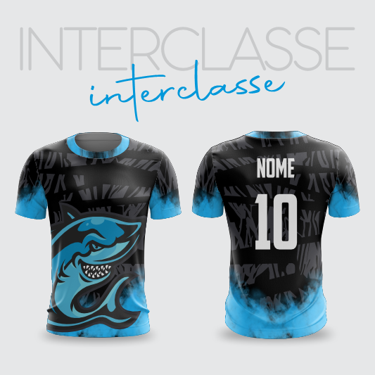Interclasse 315 Interclasse 315