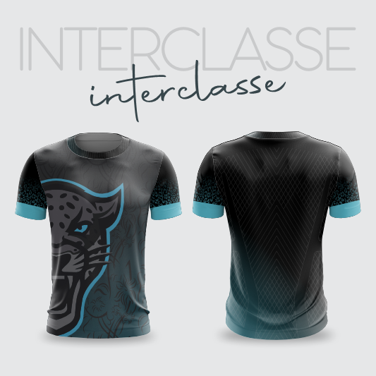 Interclasse 317 Interclasse 317