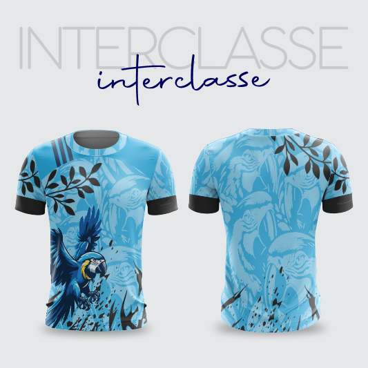 INTERCLASSE 323