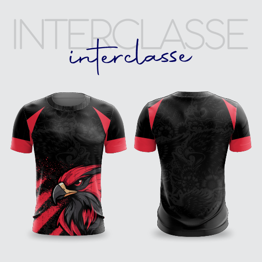 INTERCLASSE 327