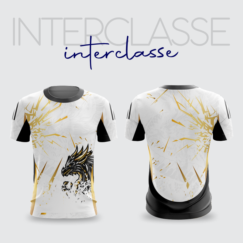INTERCLASSE 330