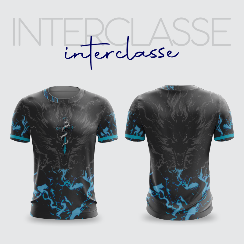 INTERCLASSE 331