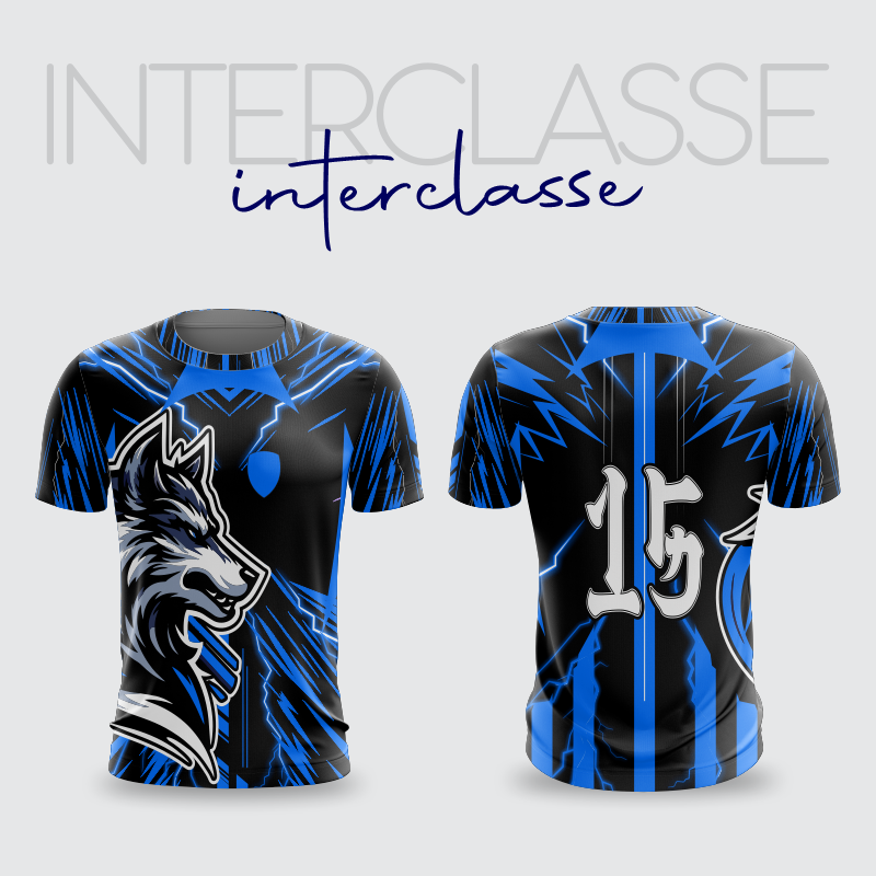 INTERCLASSE 348